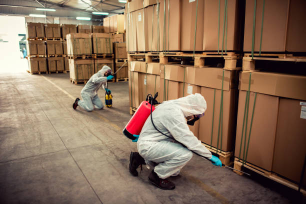 Best Wasp Removal Services  in Karns, TN